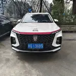 Roewe RX5 MAX 2023 из Китая