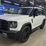 Haval Menglong New Energy 2025 из Китая