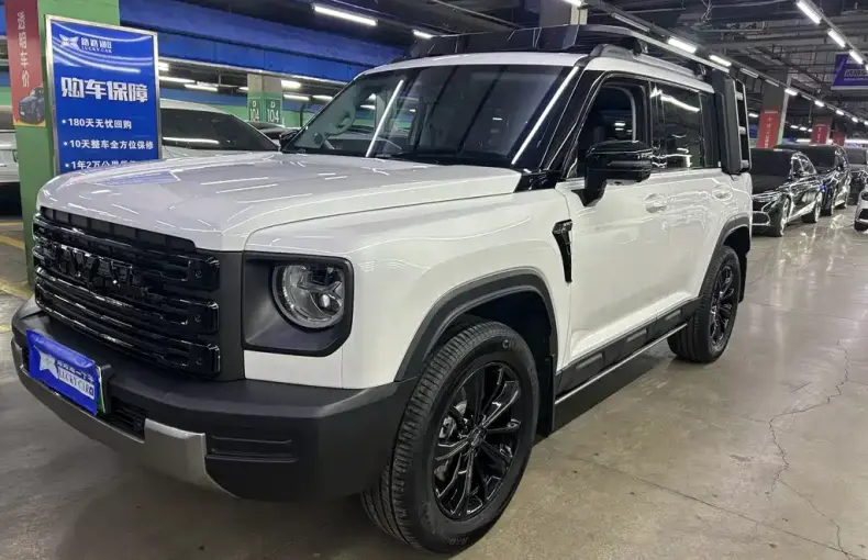 Haval Menglong New Energy 2025 из Китая