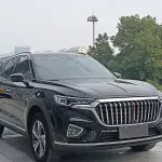 Hongqi Hongqi HS5 2020 из Китая