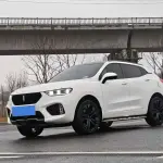 Wey Wey VV5 2018 197 л.с. из Китая