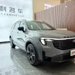 Ford 领裕新能源 2025 из Китая
