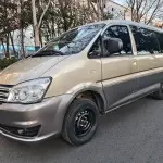 Fengxing Lingzhi 2019 из Китая