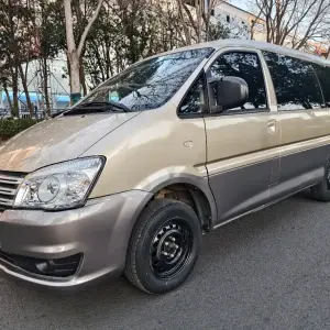 Fengxing Lingzhi 2019 из Китая