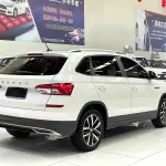 Skoda Kamiq 2021 112 л.с. из Китая