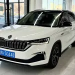Skoda Kamiq 2022 из Китая
