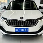 Skoda Kamiq 2022 из Китая