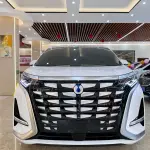 Denza Denza D9 2023 345 л.с. 345 л.с. из Китая