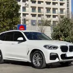 BMW X3 2018 252 л.с. из Китая