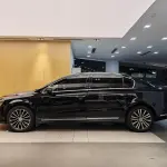 Volkswagen Magotan 2013 из Китая