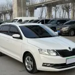 Skoda Rapid Spaceback 2019 из Китая