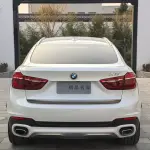 BMW X6 2018 306 л.с. 306 л.с. из Китая