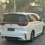 GAC Motor Trumpchi M8 2021 из Китая