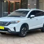 GAC Motor Trumpchi GS4 2019 из Китая