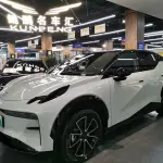 Zeekr X 2024 лот 57606631 из Китая