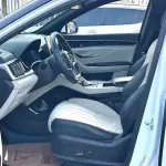 BYD PLUS New Energy 2022 из Китая