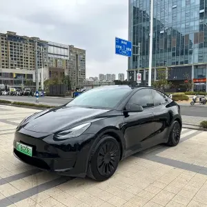 Tesla Model Y 2023 лот 57619711 из Китая