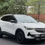 Buick Encore 2020 из Китая