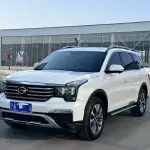GAC Motor Trumpchi GS8 2020 201 л.с. из Китая