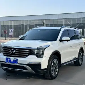 GAC Motor Trumpchi GS8 2020 201 л.с. из Китая