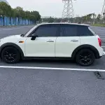 MINI Mini 2018 из Китая