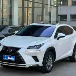 Lexus NX 2021 из Китая