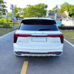 Hongqi Hongqi E-HS9 2021 из Китая