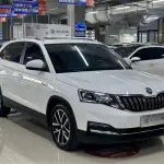 Skoda Kamiq 2023 из Китая