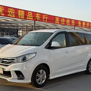 大通 G10 2019 150 л.с. из Китая
