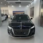 Hongqi Hongqi H5 2023 из Китая