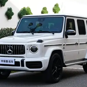 Mercedes-Benz G-Class 2020 из Китая
