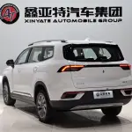 Rayleigh Ruilan 9 2024 из Китая