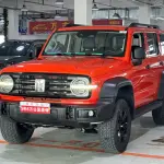 Tank Tank 300 2021 из Китая