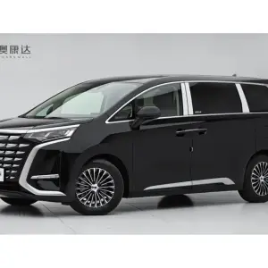 Denza Denza D9 2025 из Китая