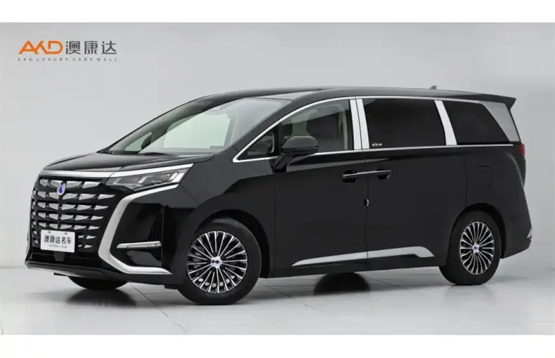 Denza Denza D9 2025 из Китая