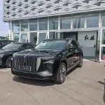 Hongqi Hongqi E-HS9 2023 из Китая