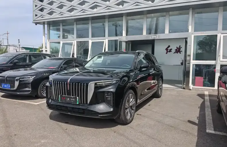 Hongqi Hongqi E-HS9 2023 из Китая