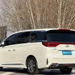 GAC Motor Trumpchi M8 2020 из Китая