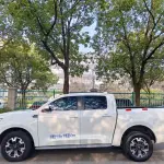 Great Wall Pao 2020 163 л.с. из Китая