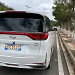 GAC Motor Trumpchi M8 2021 252 л.с. 252 л.с. из Китая