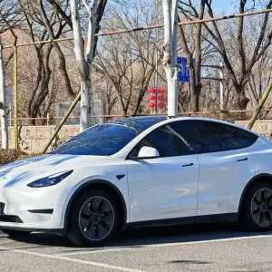Tesla Model Y 2022 из Китая