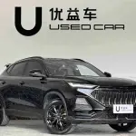 Oshan Oushang X5 2022 из Китая