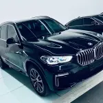 BMW X5 2023 245 л.с. 245 л.с. 245 л.с. 245 л.с. из Китая