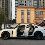 Porsche Panamera 2019 из Китая