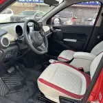 Ora Ora Black Cat 2020 из Китая