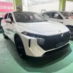 Venucia V 2022 из Китая
