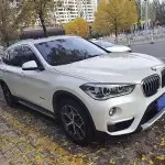 BMW X1 2018 из Китая