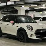 MINI Mini 2018 из Китая