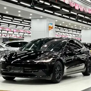 Tesla Model 3 2024 лот 57513019 из Китая
