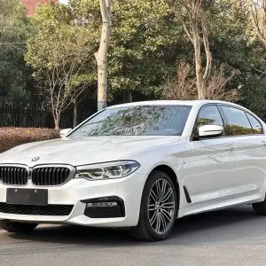BMW 5 Series 2018 252 л.с. — лот 57522837 из Китая